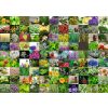 Ravensburger 99 Herbs and Spices 1000 Piece Puzzle - Image 2