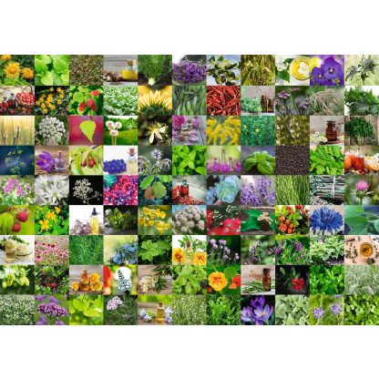 Ravensburger 99 Herbs and Spices 1000 Piece Puzzle - Image 2