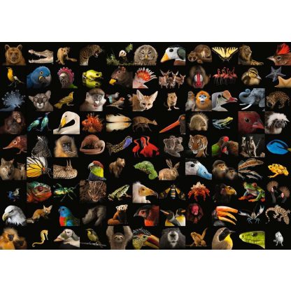 Ravensburger 99 Beautiful Animals "Photo Ark" 1000 Piece Puzzle - Image 2