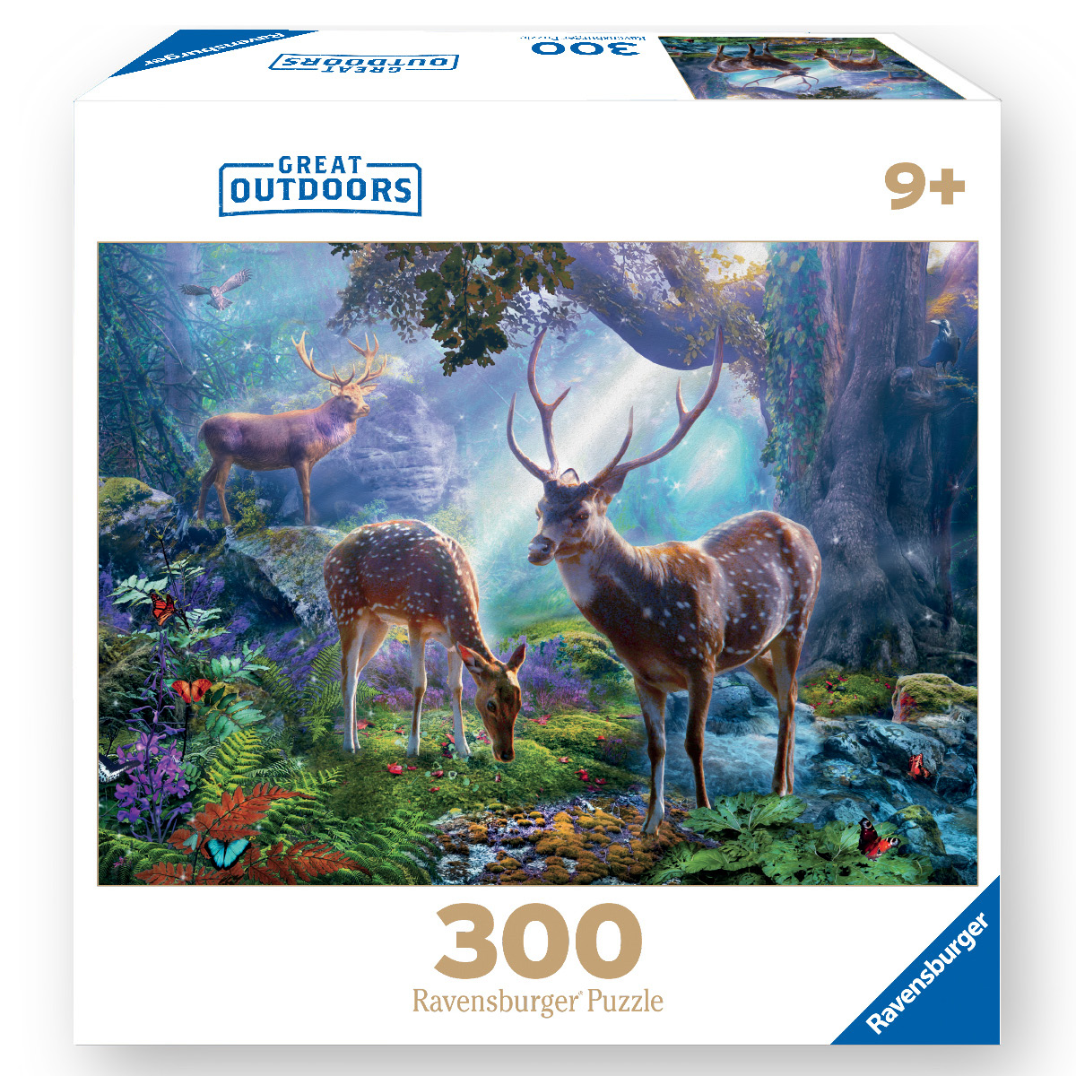 < 500 Piece Puzzles