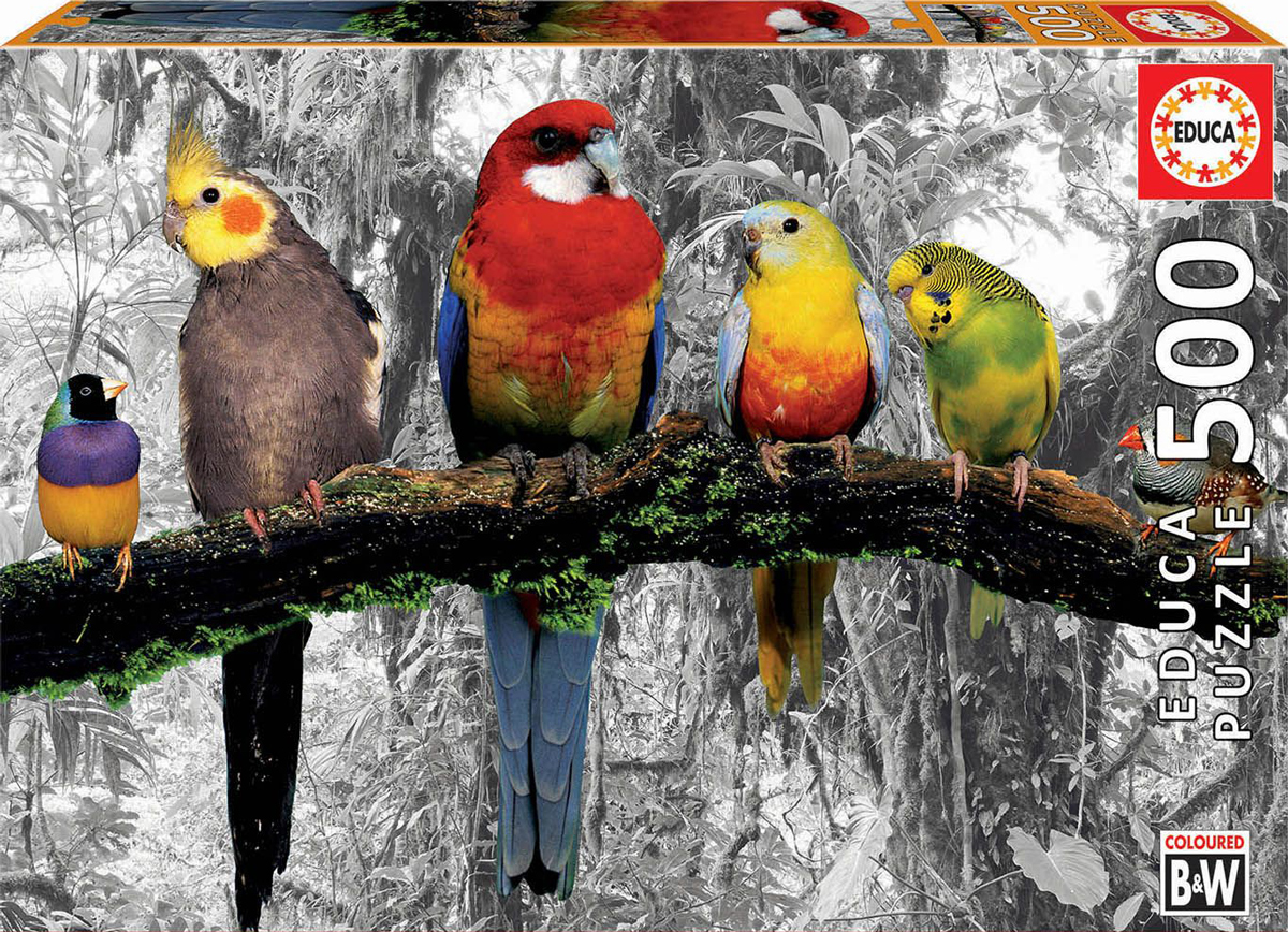 Educa Birds On The Jungle 500 Piece Puzzle