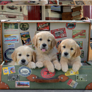 Educa Puppies In The Luggage 500 Piece Puzzle